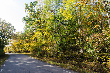 Image showing Sunlit curved country road in fall colors