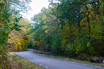 Image showing Curved country road in  fall season colors