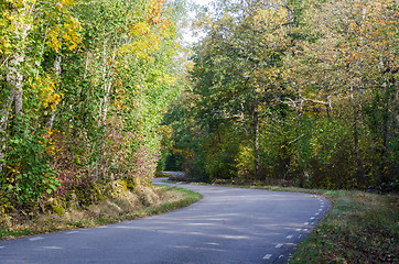 Image showing Winding country road in fall season