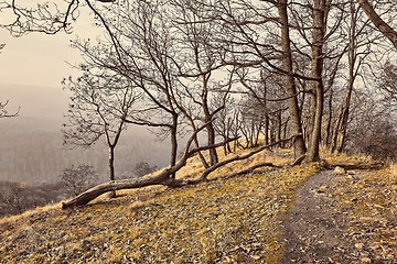 Image showing Hilly landscape with autumn trees