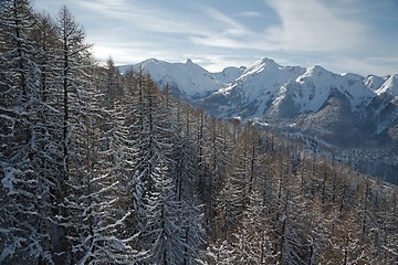 Image showing Winter Landscape with Trees