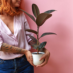 Image showing Smiling happy girl with ginger hair holds flowerpot with green plant ficus, hands of tattoo on a pink background, copy space. Card for Mother\'s Day.