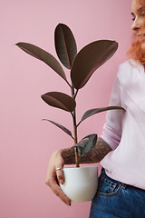Image showing Red-haired happy girl with a tattoo holding a flowerpot with a ficus plant on a pink background with space for text. Present