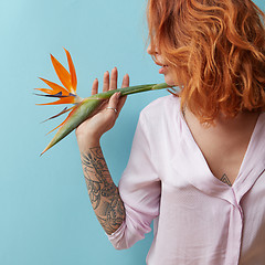 Image showing Woman with a tattoo holding an orange flower strelitzia in hands around a blue background with space for text. Valentine\'s day concept