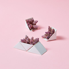 Image showing A set of triangular cardboard boxes with pine cones on a pink background with copy space. A creative composition