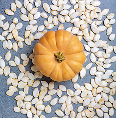 Image showing Pumpkin on scattered unpeeled seeds.