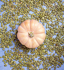 Image showing Ripe pumpkin on scattered seeds.