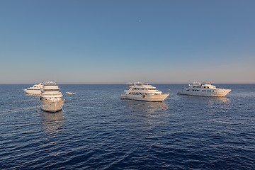 Image showing White yachts on the Red Sea at sunset