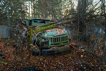 Image showing Fallen tree on abandoned truck left outside