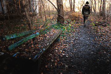 Image showing Old destroyed bench next to path