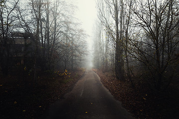 Image showing Dark abandoned road in the forest