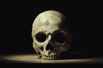 Image showing Human skull in dim light closeup photo