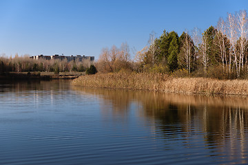 Image showing Heartshape Lake in the swamps