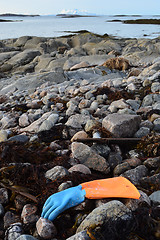 Image showing Garbage along the coast