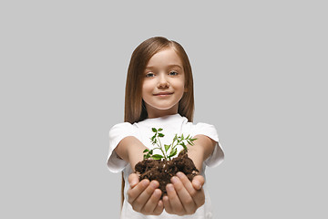 Image showing Kids hands with seedlings on gray studio background. Spring concept, nature and care.