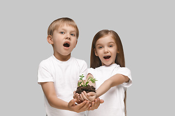 Image showing Kids hands with seedlings on gray studio background. Spring concept, nature and care.