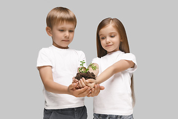 Image showing Kids hands with seedlings on gray studio background. Spring concept, nature and care.