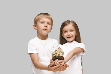 Image showing Kids hands with seedlings on gray studio background. Spring concept, nature and care.