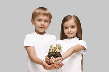 Image showing Kids hands with seedlings on gray studio background. Spring concept, nature and care.