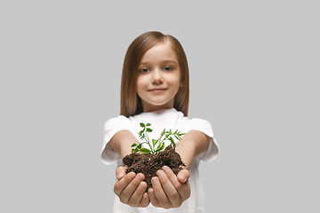 Image showing Kids hands with seedlings on gray studio background. Spring concept, nature and care.