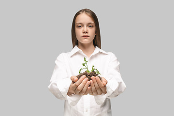 Image showing Teen hands with seedlings on gray studio background. Spring concept, nature and care.