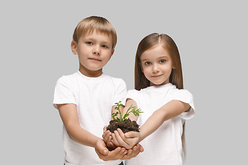 Image showing Kids hands with seedlings on gray studio background. Spring concept, nature and care.