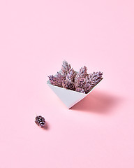 Image showing Pine cones in a cardboard triangular box on a pink background with copy space for text. Creative layout