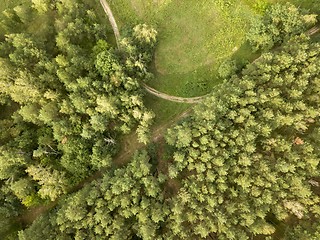 Image showing Top view of the winding road through the woods on a summer afternoon. Aerospace with a drone as a natural layout