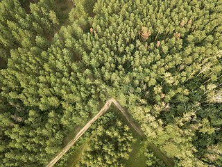 Image showing Aerial view from the drone forest foliage with green glade and road on a clear summer day. Top view