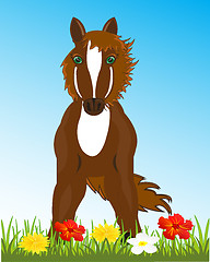 Image showing Beautiful sulfuric horse on glade with flower