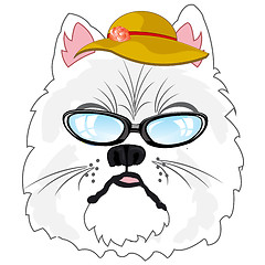 Image showing Portrait of the fashionable cat in hat and spectacles