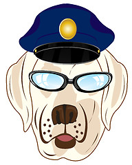 Image showing Portrait of the dog in hat and spectacles