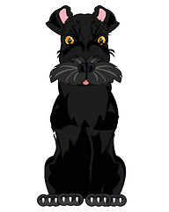 Image showing Vector illustration of the dog of the sort scnauzer black colour