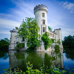 Image showing La Mothe Chandeniers, ruin of a french castle