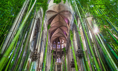 Image showing Bamboo cathedral concept, choir of the nature