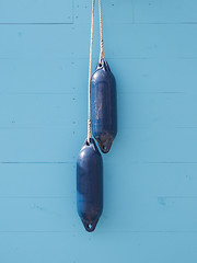 Image showing BLue buoy hanging out to dry