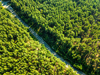 Image showing Foliage green forest with asphalt road on sunny day, natural beautiful background. Aerial view from the drone