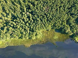 Image showing Beautiful aerial view of the drone on the river and the green forest on a sunny day. Natural background