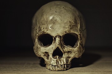 Image showing Human skull in dim light closeup photo