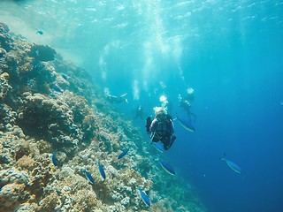 Image showing Coral Reef underwater in the sea