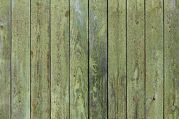 Image showing Old green wood surface