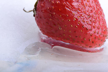 Image showing Close up of strawberry frozen in ice