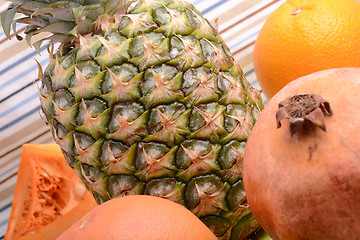 Image showing collection of fruit and vegetables. Pineapple, lemon, grapefruit, onion, pumpkin