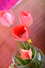 Image showing spring flowers banner - bunch of pink tulip flowers on red background
