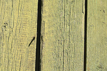 Image showing old green colored wooden plank surface