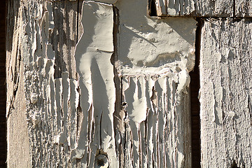 Image showing Texture of wood background closeup