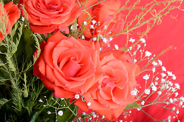 Image showing red rose background, close up shot, valentine day concept.