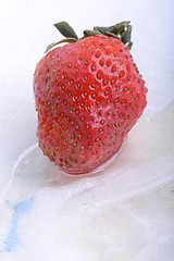 Image showing Close up of strawberry frozen in ice