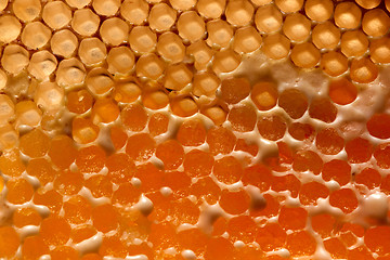 Image showing Macro photo eco friendly honey in wax comb. Creative food layout. Flat lay