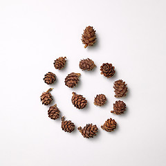 Image showing Pine cones in the shape of a cones presented on a gray background with copy space for text. Natural composition